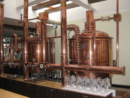 마이크로 호텔 맥주 공장 기계 소규모 양조 체계 1000L 3mm 간격