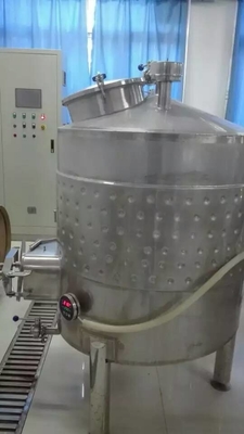 100L 맥주 생산 라인 포도주 시험 장비 SU 304 1 년 보장