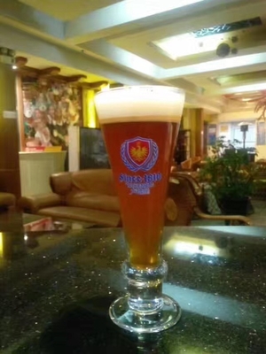 500L 2 배 기술 맥주 양조 장비 턴키 양조장 체계