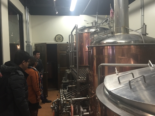 3.5bbl 직접 불 양조장 1개의 40Hq 콘테이너 직접적인 난방에 맞추는 작은 상업적인 양조 장비
