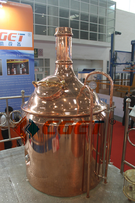 Rusina를 위해 증명서를 주는 ISO 세륨을 가진 SU 304 기술 맥주 양조 장비 500L 양조 체계