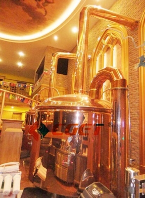 Rusina를 위해 증명서를 주는 ISO 세륨을 가진 SU 304 기술 맥주 양조 장비 500L 양조 체계